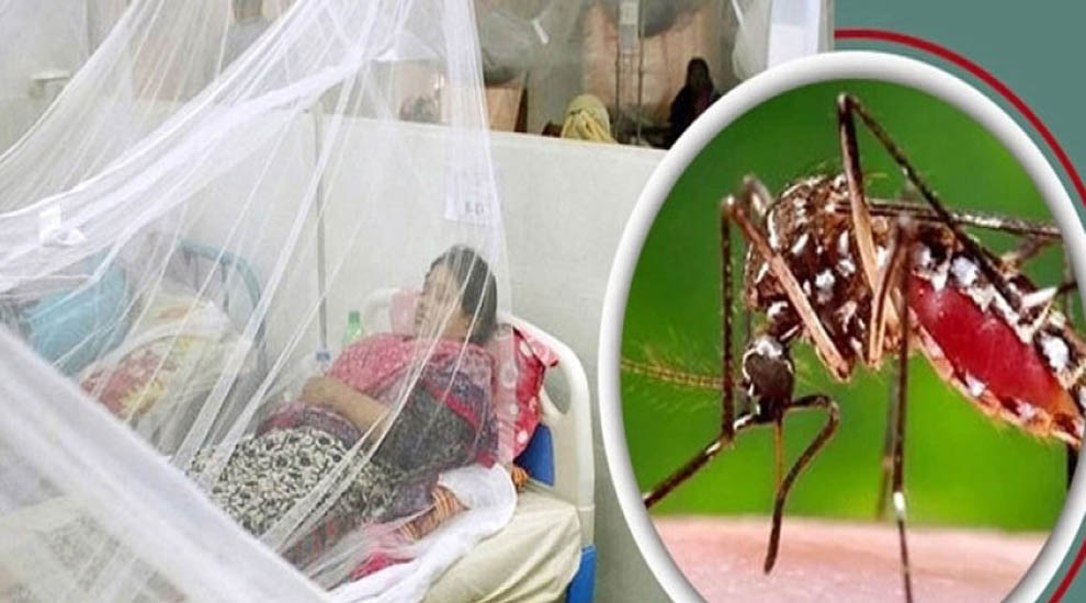 সিলেটে ডেঙ্গুর প্রকোপ বাড়ছে, সনাক্ত আরও ৩