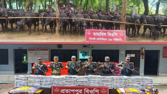 সিলেটে সীমান্তে সোয়া কোটি টাকার চোরা চালান জব্দ