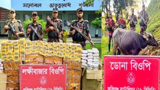 সিলেটের জৈন্তাপুর, জকিগঞ্জ ও কানাইঘাট সীমান্তে জব্দ বিড়ি, চিনি ও মহিষ