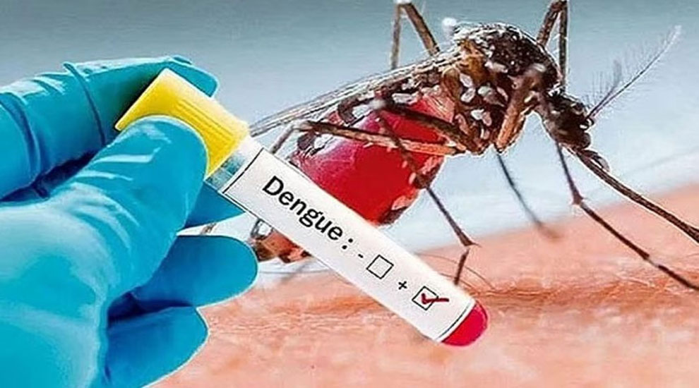 সিলেটে ডেঙ্গু আক্রান্ত হয়ে হাসপাতালে ১০ জন