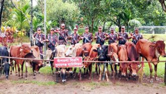 দোয়ারাবাজার সীমান্তে চোরাই গরুর চালান জব্দ