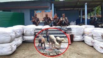 সিলেটে প্রায় আড়াই কোটি টাকার ভারতীয় পশু ও পণ্য জব্দ