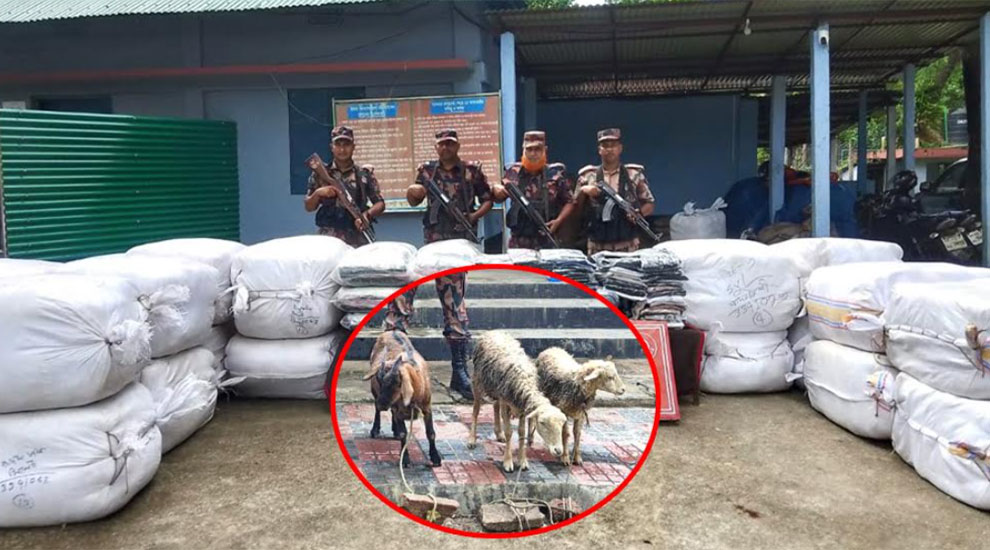 সিলেটে প্রায় আড়াই কোটি টাকার ভারতীয় পশু ও পণ্য জব্দ