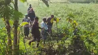 সিলেট সীমান্তে মদের বিশাল চালান নিয়ে ঢুকার চেষ্টা : বিজিবির ধাওয়া