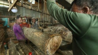 বিয়ানীবাজারের একডজন সো মিল: করাতের শব্দে হারিয়ে যায় শ্রমিকের জীবনের নিরাপত্তা