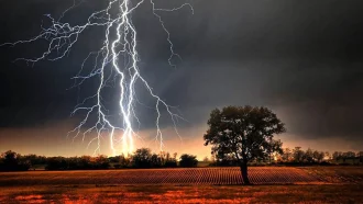 কুড়িগ্রামে বসতঘরে বজ্রপা‌ত, প্রাণ গেল স্বামী-স্ত্রীর