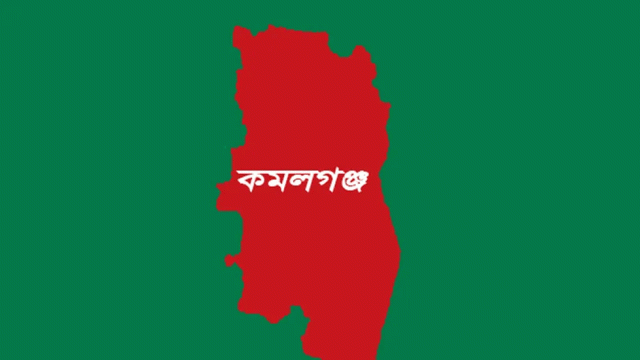 কমলগঞ্জে নারিকেল গাছ পরিস্কার করতে গিয়ে প্রাণ গেল যুবকের
