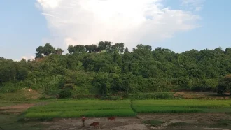 সীমান্তে উত্তেজনা, তিন সশস্ত্র গোষ্ঠীর সংঘর্ষে আতঙ্কে সীমান্তবাসী