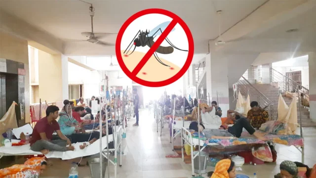 ডেঙ্গুতে ৯ জনের মৃত্যু, হাসপাতালে ভর্তি ১০৪২ জন