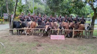 দোয়ারাবাজার সীমান্তে ১৪ ভারতীয় গরু আটক