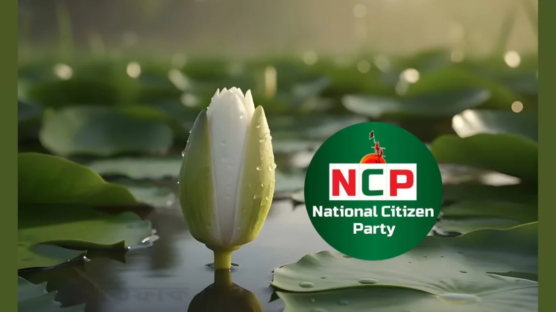 প্রতীক হিসেবে ‘শাপলা কলি’ নিতে সম্মত এনসিপি