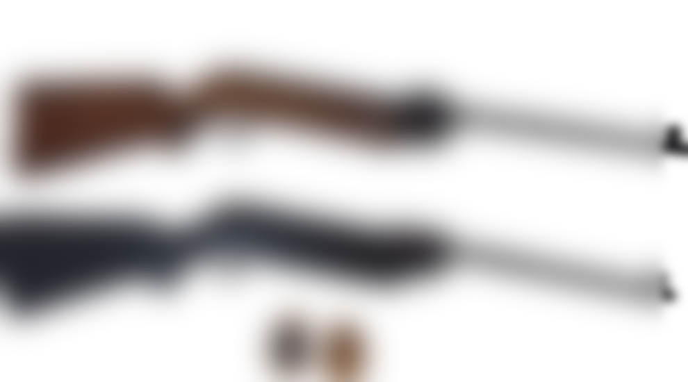 বিয়ানীবাজার থেকে উদ্ধার গুলিসহ দুই এয়ারগান