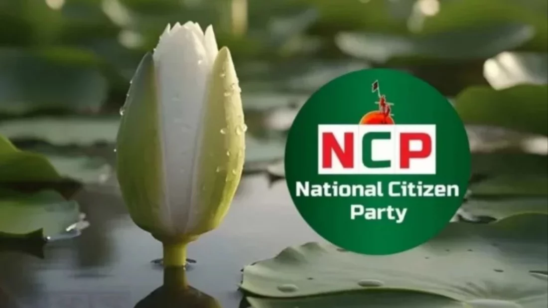 আট দিনে ১০১১ মনোনয়নপত্র বিক্রি করল এনসিপি