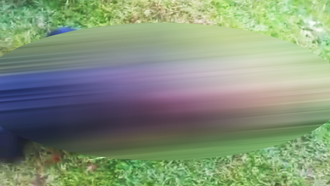 সিলেটে চা বাগান থেকে গলা কাটা অবস্থায় তরুণী উদ্ধার