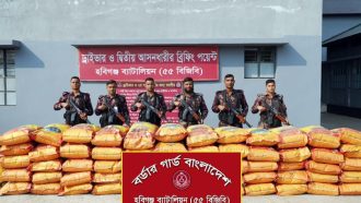 বিজিবির অভিযানে ৭৪ লাখ টাকার ভারতীয় পণ্য জব্দ