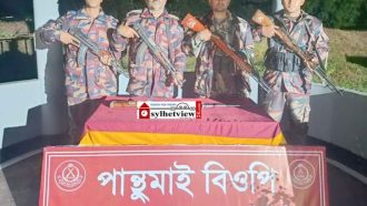 গোয়াইনঘাটে সবজি ক্ষেত থেকে ভারতীয় অস্ত্র উদ্ধার