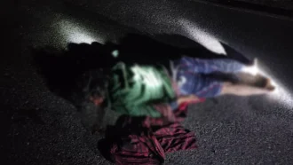 কাপ্তাইয়ে বন্যহাতির আক্রমণে নারী নিহত