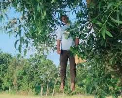নদীর পাড়ে বাইসাইকেল, গাছে ঝুলছে যুবকের মরদেহ