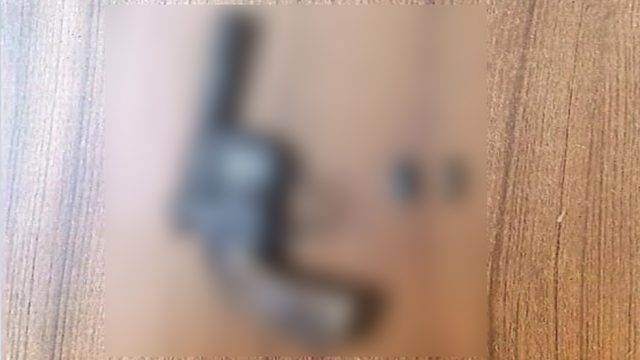 সিলেটে শতবর্ষী বটগাছের নিচে মিললো গুলিসহ পিস্তল