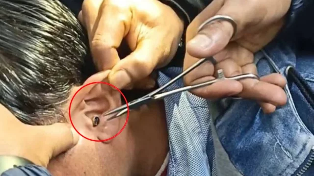 পরীক্ষা চলাকালে অনেকের কানে মিললো ডিভাইস, আটক ৫২