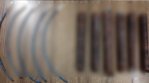 সিলেটে রেলের টয়লেটে মিললো ভারতীয় বি*স্ফো*র*ক