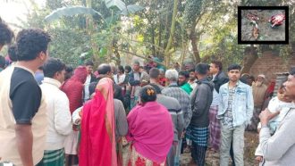 খাসির মাংস বলে কুকুরের মাংস বিক্রি !