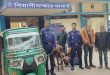 বিয়ানীবাজার থানা পুলিশের বিশেষ অভিযানে চোরাই গরু সহ ০২ জন গ্রেফতার
