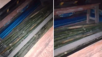 ভোটকেন্দ্রের পাশে জামায়াত নেতার বাড়ি থেকে ২০০ লাঠি উদ্ধার