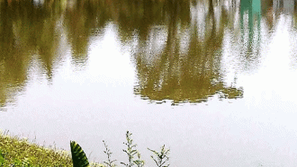 বড়লেখায় পুকুরে ডুবে প্রাণ গেল দুই বছরের শিশুর