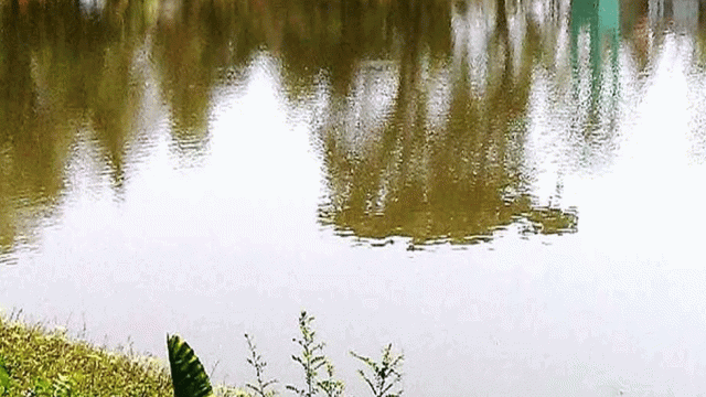 বড়লেখায় পুকুরে ডুবে প্রাণ গেল দুই বছরের শিশুর