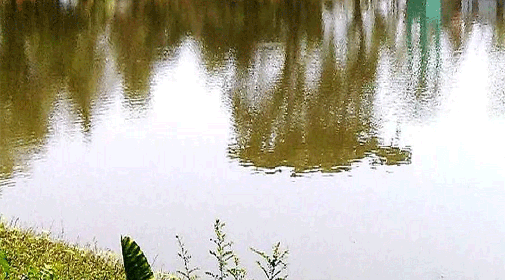 বড়লেখায় পুকুরে ডুবে প্রাণ গেল দুই বছরের শিশুর