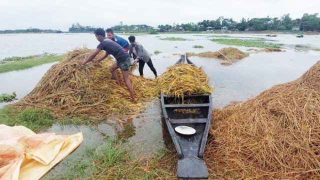 সিলেটের ৪ জেলায় বন্যার শঙ্কা, নদীর পানি বিপৎসীমার ওপরে