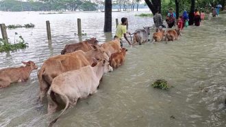 সিলেটে আকস্মিক বন্যার শঙ্কা