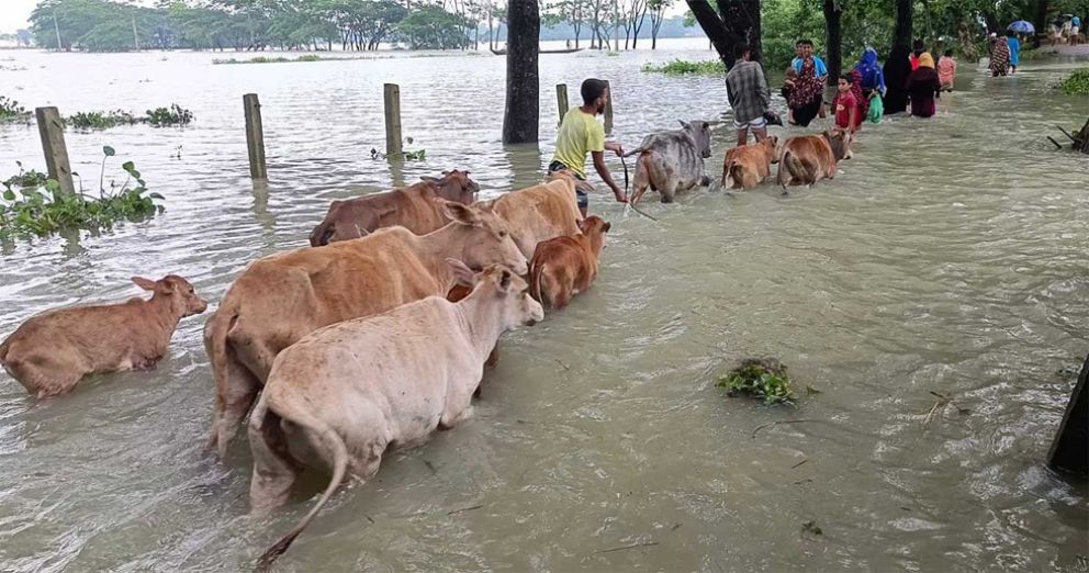 সিলেটে আকস্মিক বন্যার শঙ্কা
