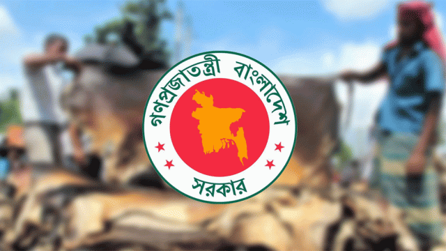 কোরবানির পশুর চামড়ার দাম নির্ধারণ করল সরকার