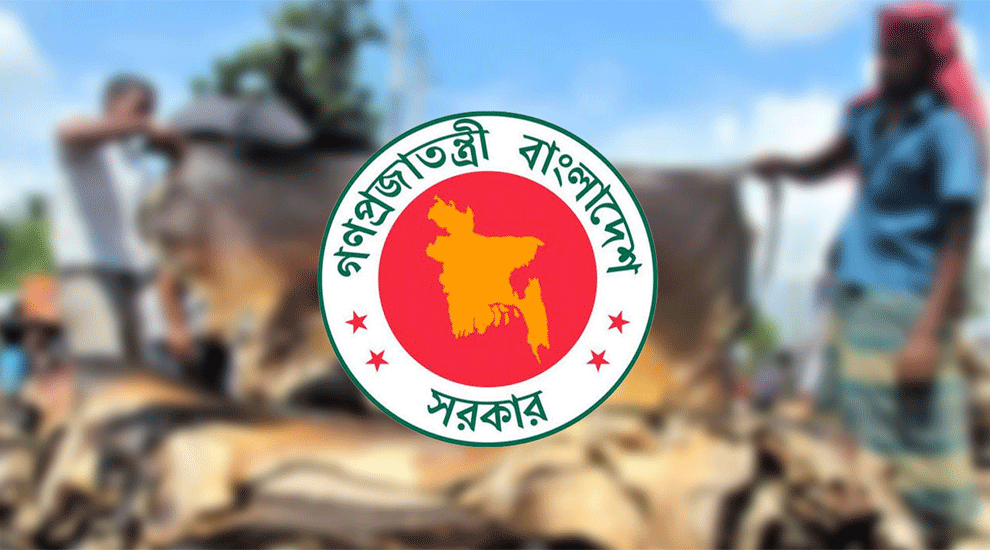 কোরবানির পশুর চামড়ার দাম নির্ধারণ করল সরকার