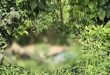 জঙ্গলে মিলল বিশ্ববিদ্যালয় ছাত্রের মরদেহ