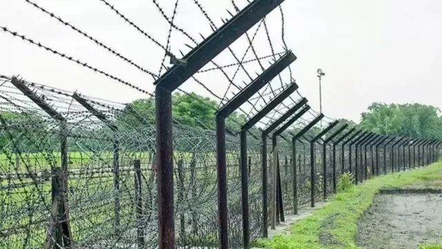 দুই বাংলাদেশিকে গুলি করে হত্যার কথা স্বীকার বিএসএফের, জানাল কারণ