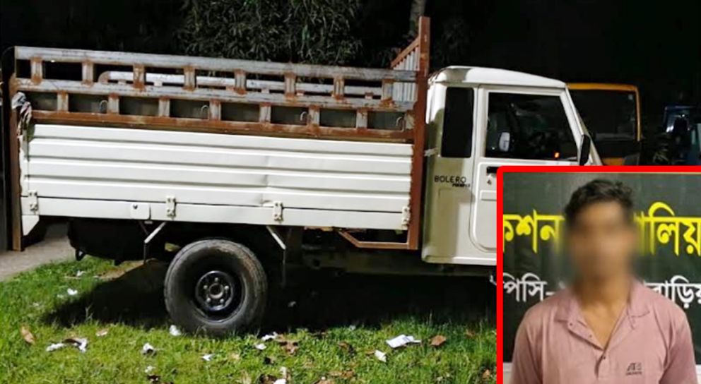 পিকআপে যা নিয়ে যাচ্ছিলেন শিপন
