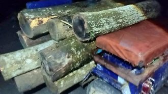 কমলগঞ্জে কালাছড়া বনবিটে রাতের আঁধারে বৃক্ষ নিধন ও পাচার