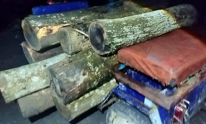 কমলগঞ্জে কালাছড়া বনবিটে রাতের আঁধারে বৃক্ষ নিধন ও পাচার