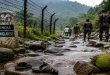 হবিগঞ্জে বিএসএফের অপতৎপরতা রুখে দিল বিজিবি