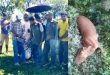 জৈন্তাপুর সীমান্তে বাঘ আতঙ্ক : তদন্তে বন বিভাগ