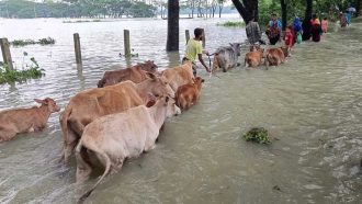সিলেটে যে কারণে প্রস্তুত ৫৩৭ আশ্রয়কেন্দ্র