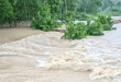 ঘাস কেটে ফেরার পথে ধলাই নদীতে নিখোঁজ মাসুক