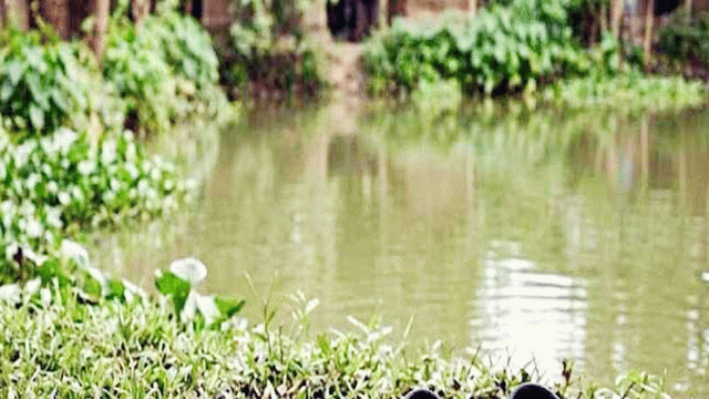 হবিগঞ্জে পানিতে ডুবে প্রাণ গেল দুই ভাইয়ের