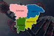 সিলেটে যে দুই ভাইরাস প্রাণ নিল ৩ জনের