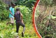 সিলেটে ট্রিপল মার্ডার, অবশেষে সেই ছোরা উদ্ধার