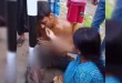 রাতভর খুঁটিতে বাঁধা বাবাকে চা-রুটি খাওয়ালেন মেয়ে, ভিডিও ভাইরাল