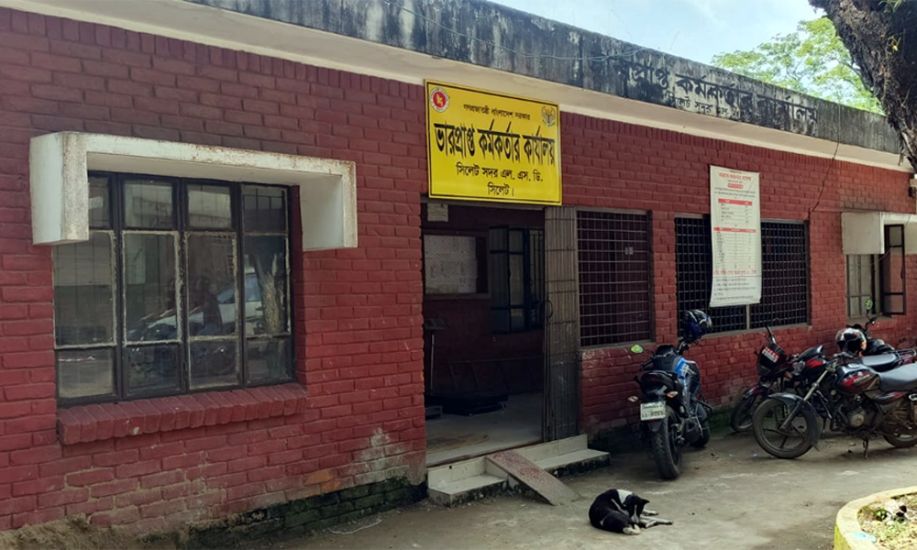 সিলেটে সিন্ডিকেট ছাড়াই ধান-চালে ভরলো সরকারি গুদাম
